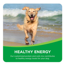 Load image into Gallery viewer, Iams Proactive Health Adult MiniChunks Dry Dog Food