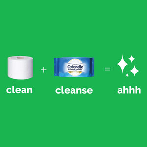 Cottonelle Ultra GentleCare Toilet Paper, Aloe & Vitamin E, 12 Mega Rolls