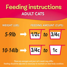 Load image into Gallery viewer, Purina Friskies Dry Cat Food; Gravy Swirlers - 22 lb. Bag