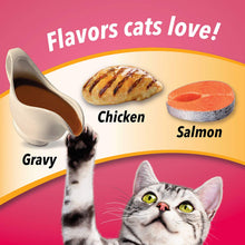 Load image into Gallery viewer, Purina Friskies Dry Cat Food; Gravy Swirlers - 22 lb. Bag