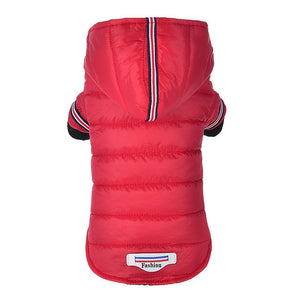 Dog Jacket