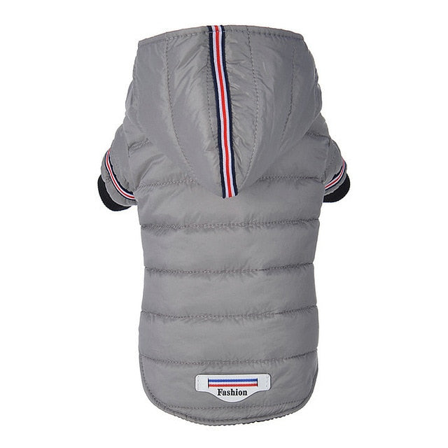 Dog Jacket