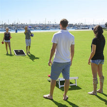 Load image into Gallery viewer, Cornhole Game with Carrying Case